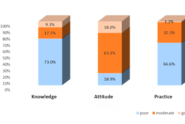 FIGURE 1: Level of knowledge, attitude, and practice (KAP) among healthcare workers regarding preparedness towards flood disaster in Malaysia (n = 434). The bar chart illustrates the distribution of participants classified as having "Good" vs. "Poor" levels of proficiency across the three domains